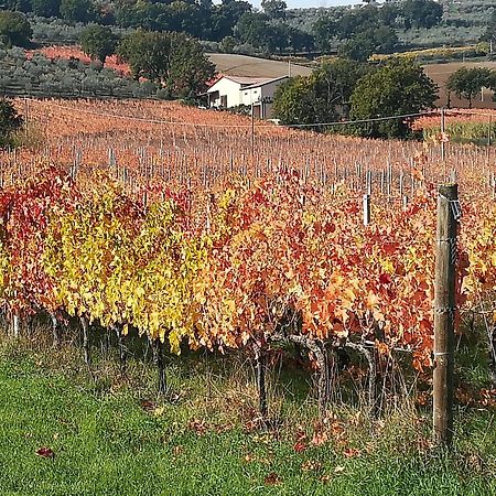 Antico Gioiello Umbro , Appartamento Con Terrazza Foligno Exteriör bild