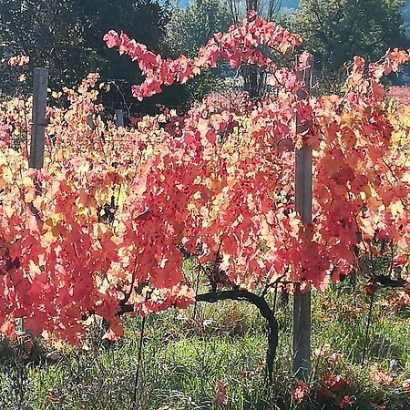 Antico Gioiello Umbro , Appartamento Con Terrazza Foligno Exteriör bild