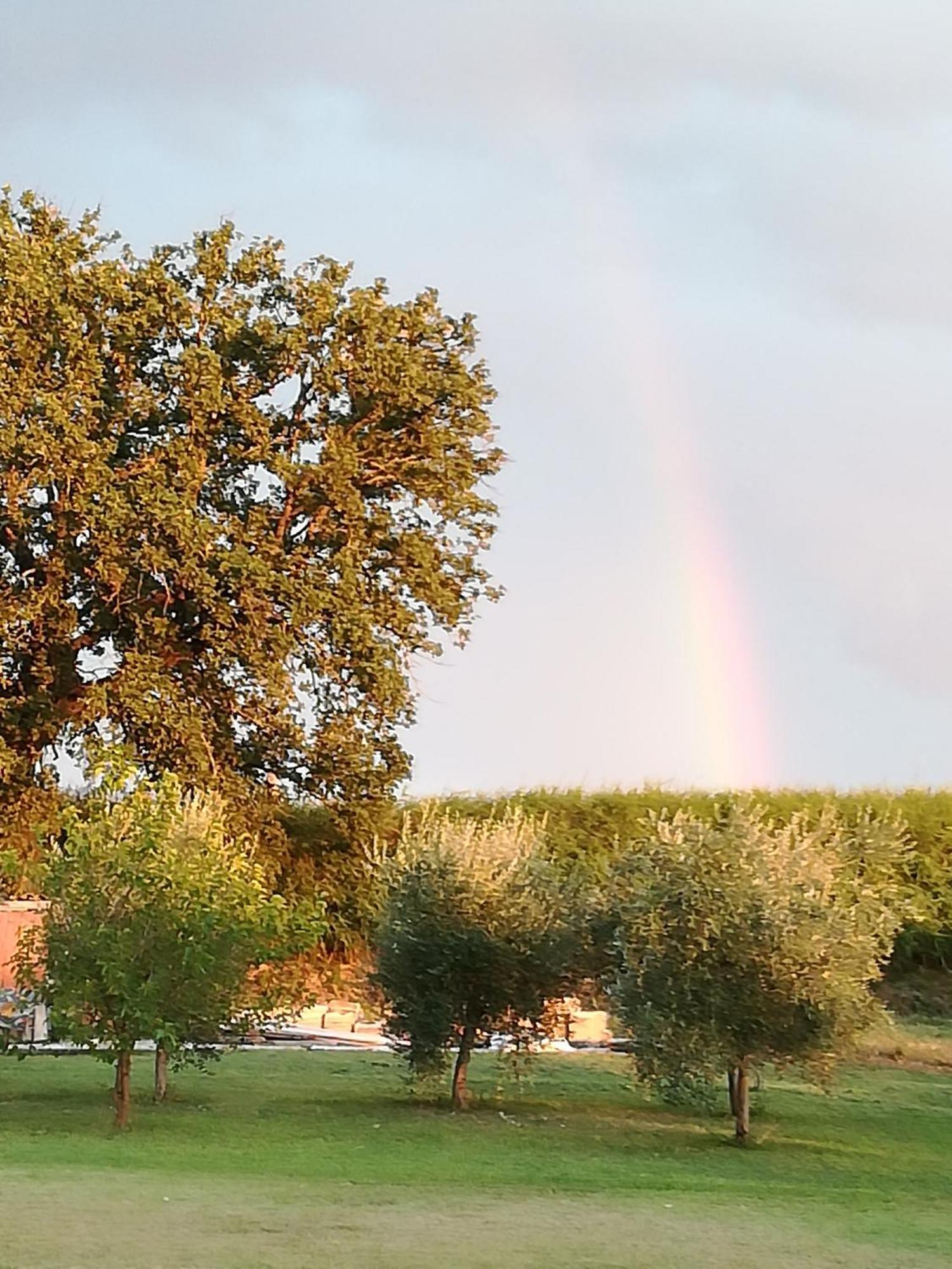 Antico Gioiello Umbro , Appartamento Con Terrazza Foligno Exteriör bild