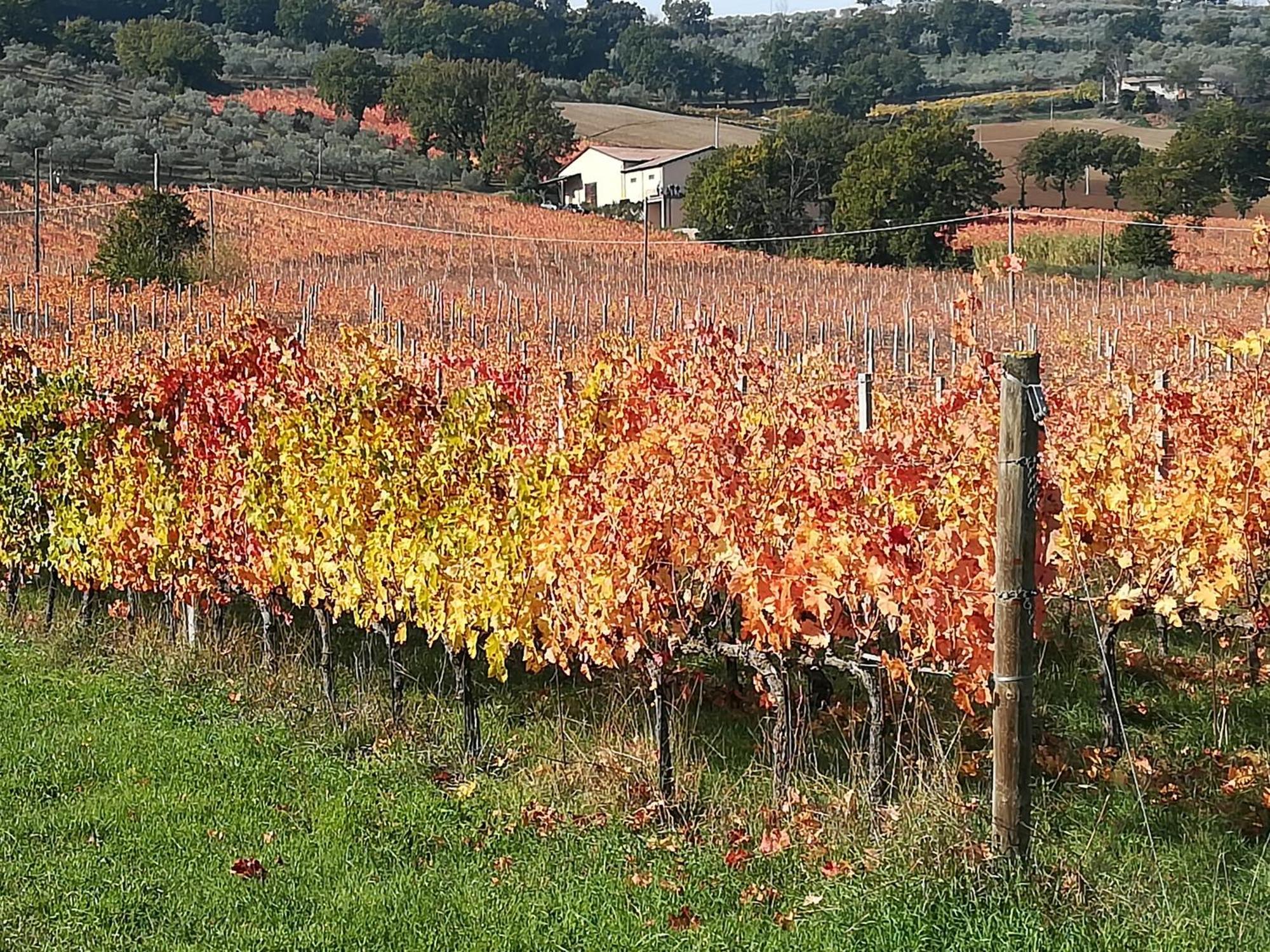 Antico Gioiello Umbro , Appartamento Con Terrazza Foligno Exteriör bild