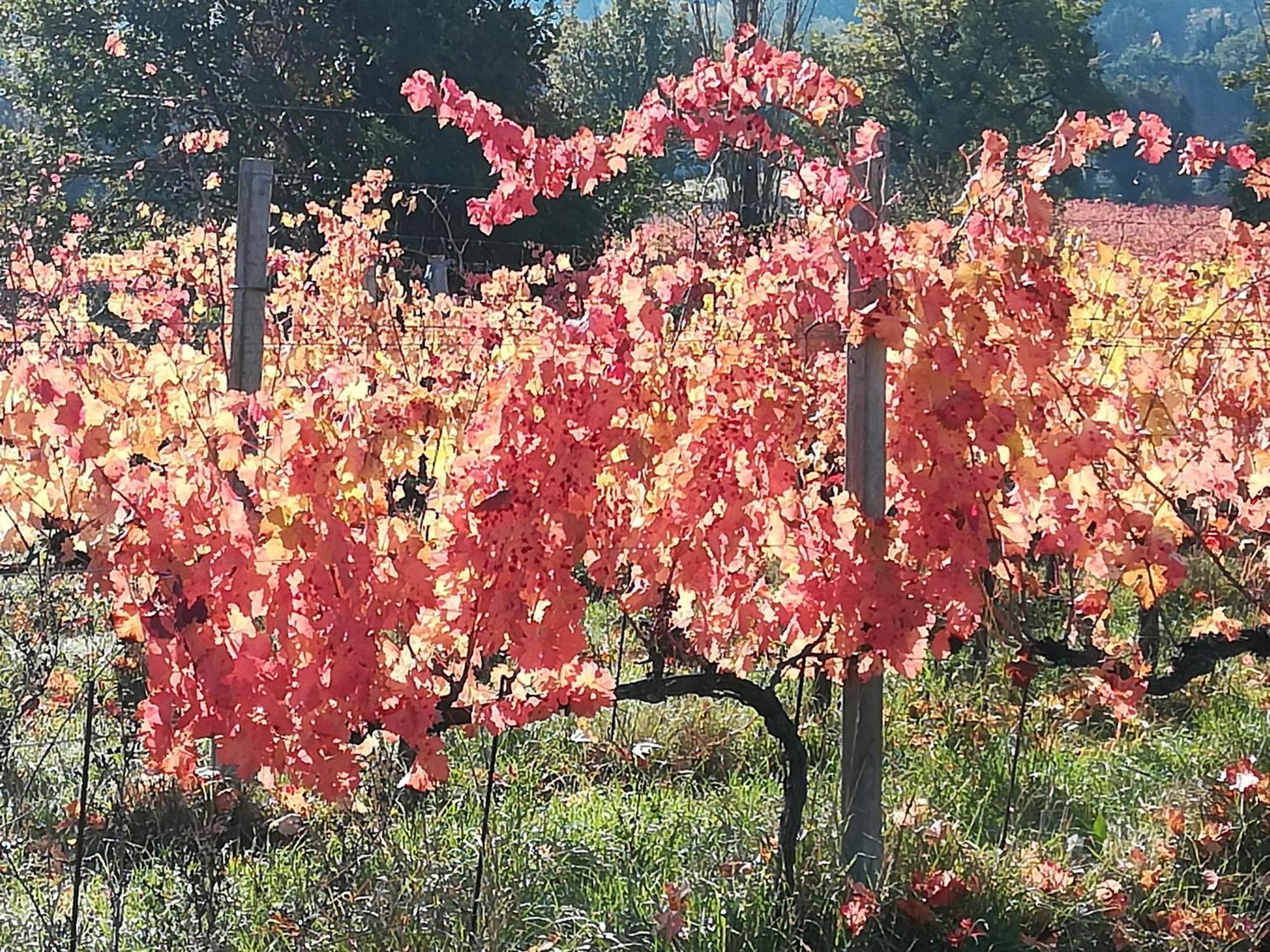 Antico Gioiello Umbro , Appartamento Con Terrazza Foligno Exteriör bild